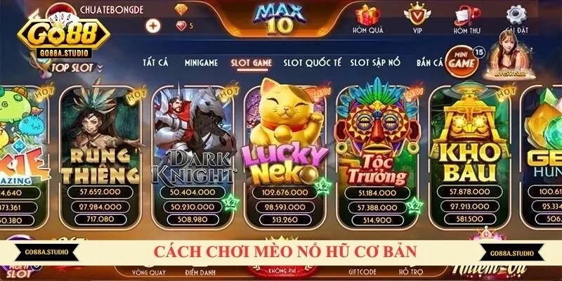 Cách chơi mèo nổ hũ cơ bản